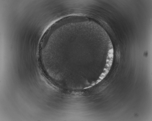 X0000115270484200912111206