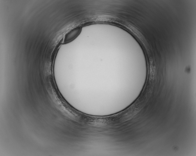 X0000115270485200912111206