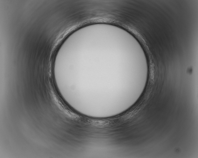 X0000115270486200912111206