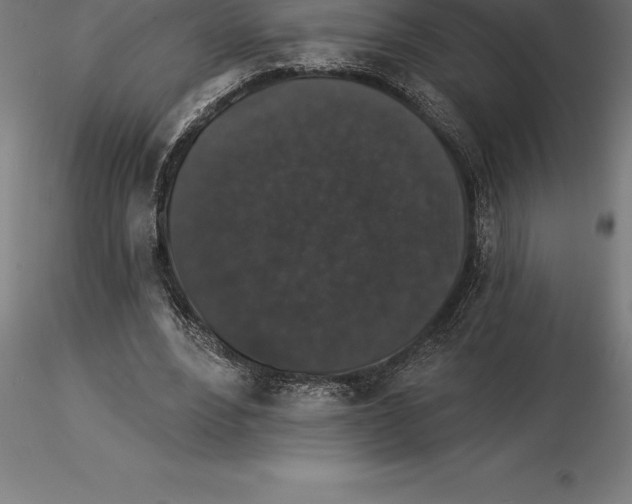 X0000115270488200912111206