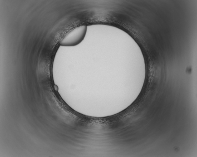 X0000115270489200912111206