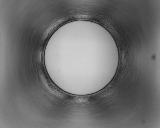 X0000115270491200912111206