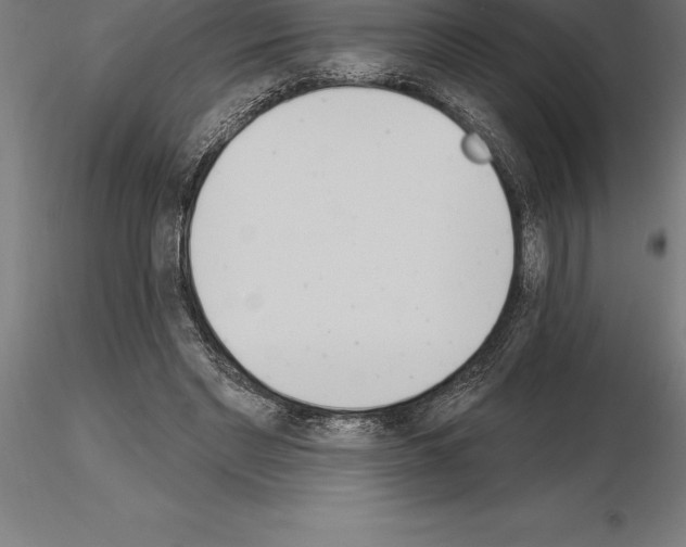 X0000115270493200912111206