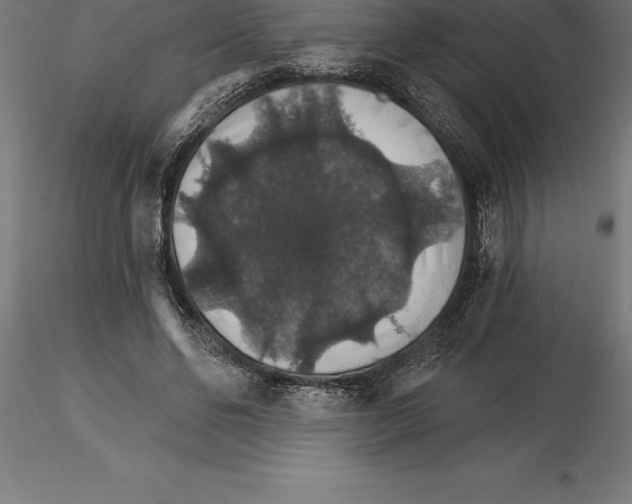 X0000115270494200912111206