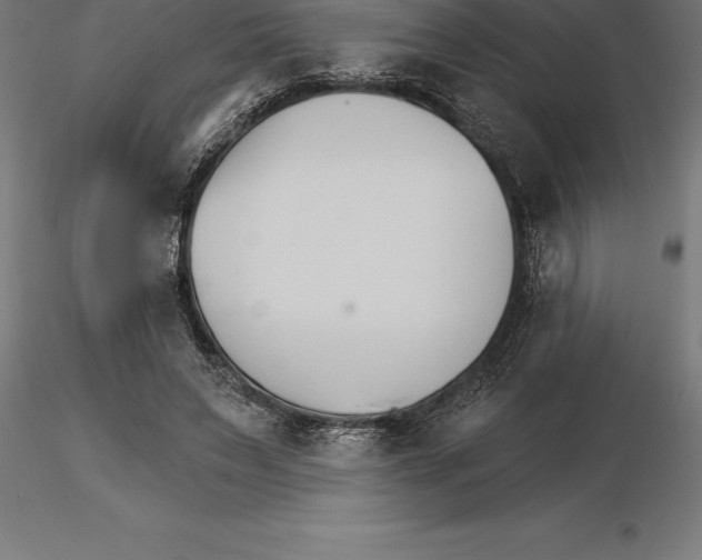 X0000115270495200912111206