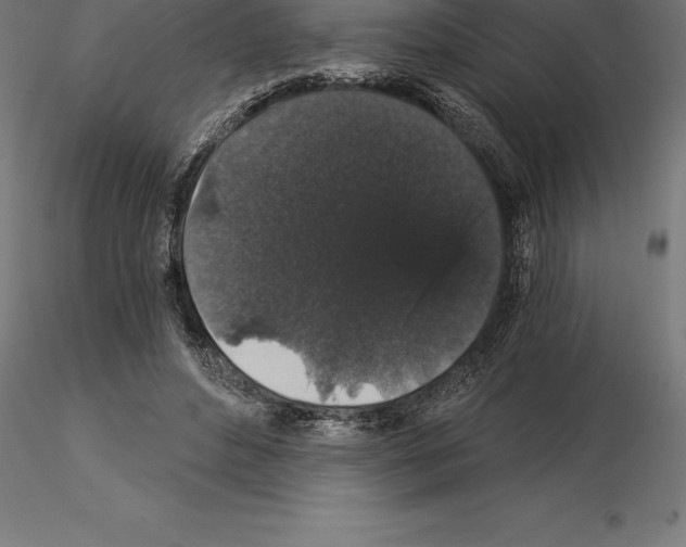 X0000115270496200912111206