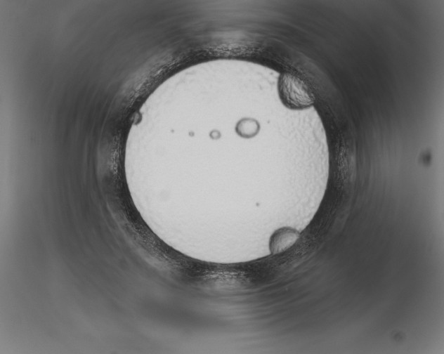 X0000115270499200912111206