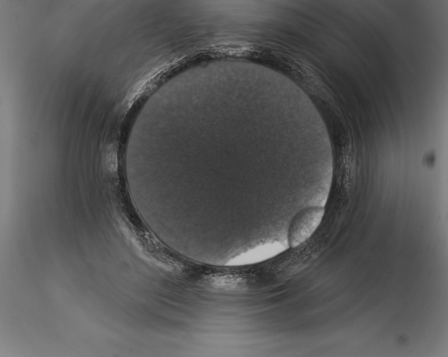 X0000115270500200912111206