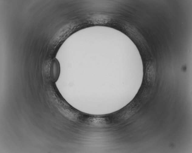 X0000115270501200912111206