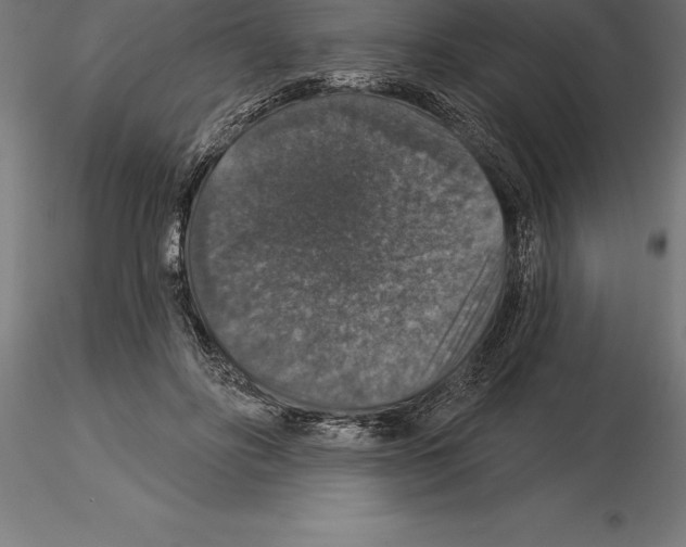 X0000115270502200912111206