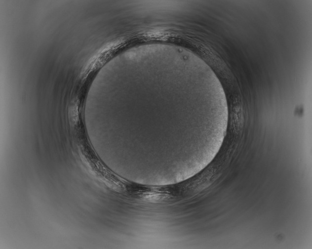 X0000115270504200912111206