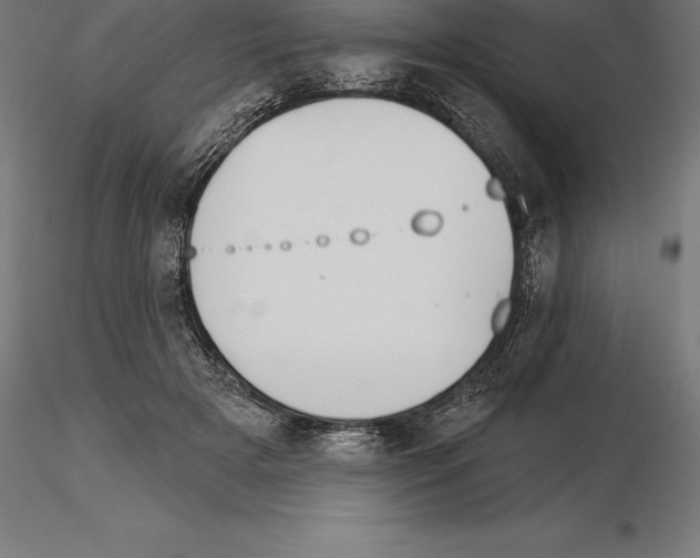 X0000115270505200912111206