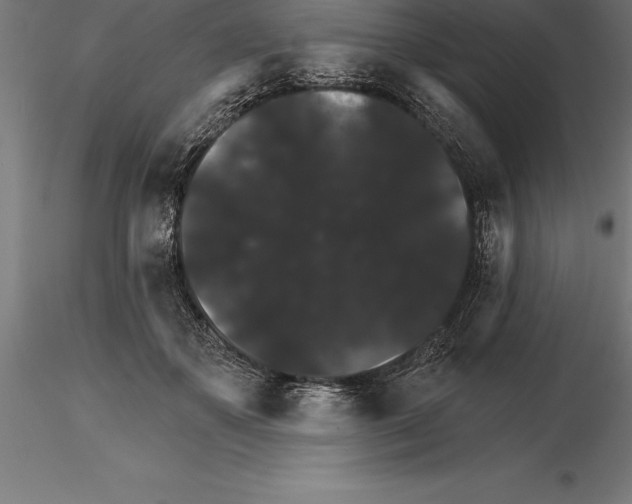 X0000115270507200912111206