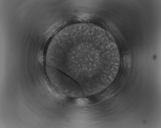 X0000115270508200912111206