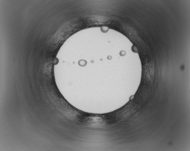 X0000115270509200912111206