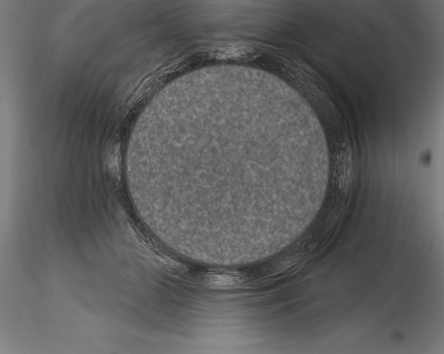 X0000115270510200912111206