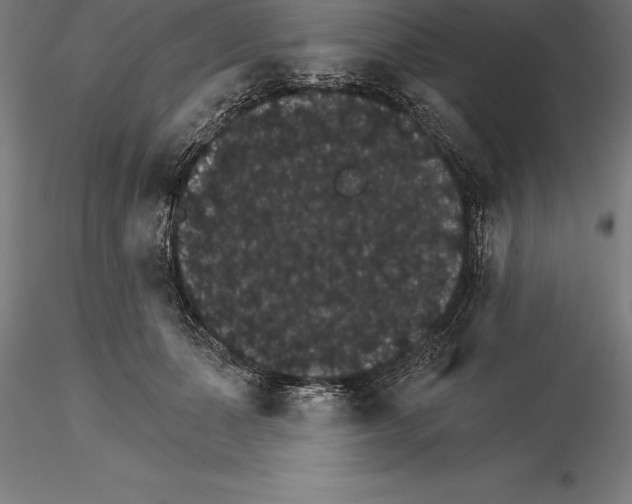 X0000115270511200912111206