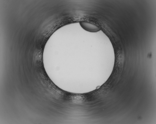 X0000115270513200912111206