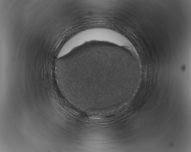 X0000115270516200912111206