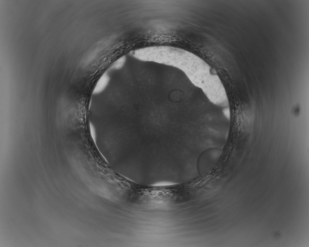 X0000115270517200912111206