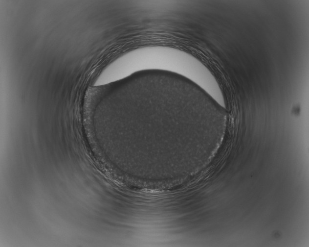 X0000115270520200912111206