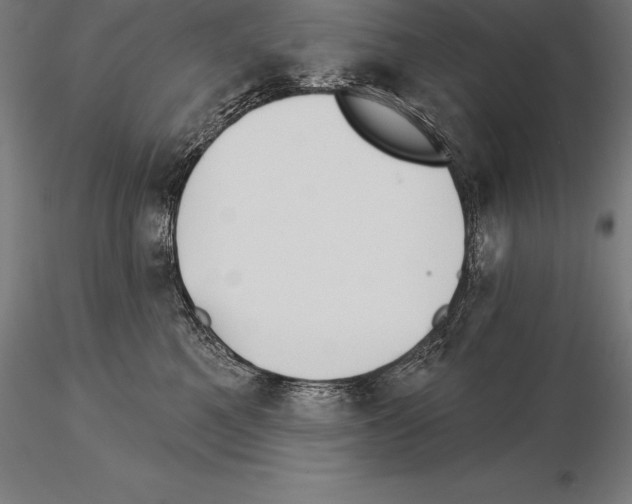 X0000115270521200912111206