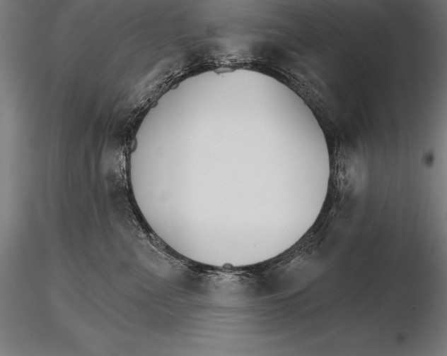 X0000115270523200912111206