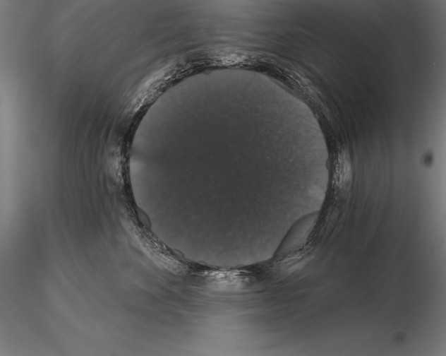 X0000115270524200912111206