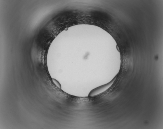 X0000115270525200912111206