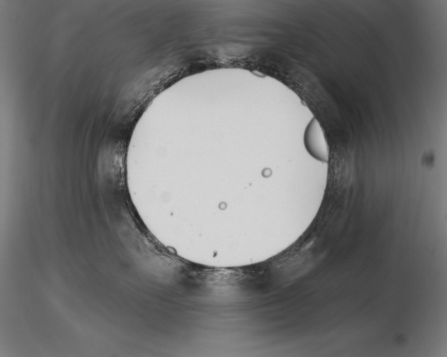 X0000115270527200912111206