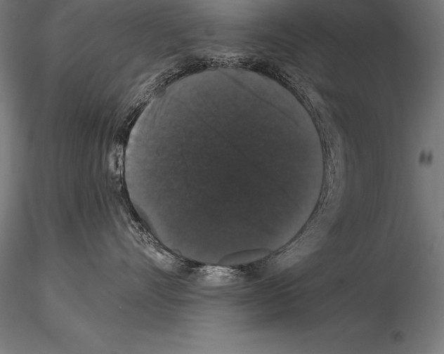 X0000115270528200912111206