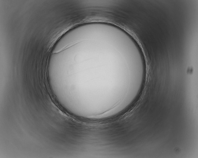 X0000115270529200912111205