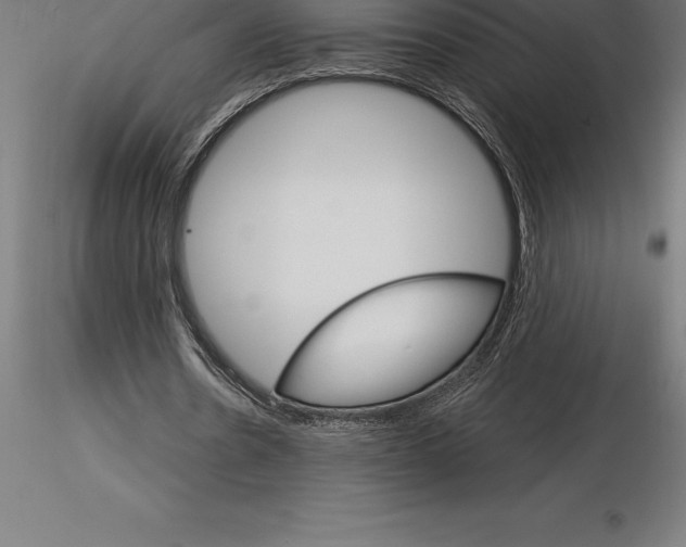 X0000115270530200912111205