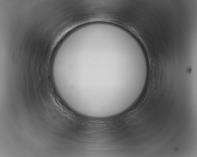 X0000115270531200912111205