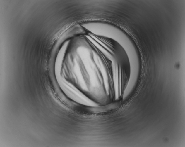 X0000115270533200912111205