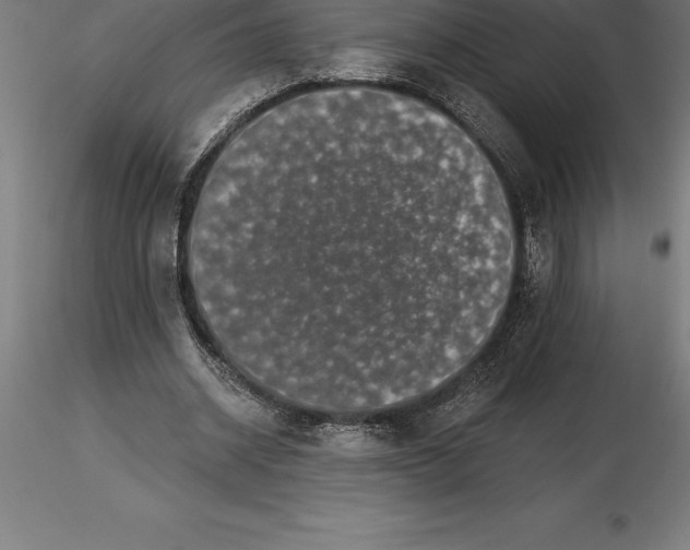 X0000115270534200912111205