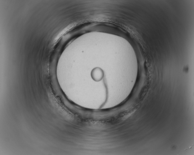 X0000115270535200912111205