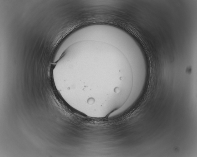 X0000115270537200912111205