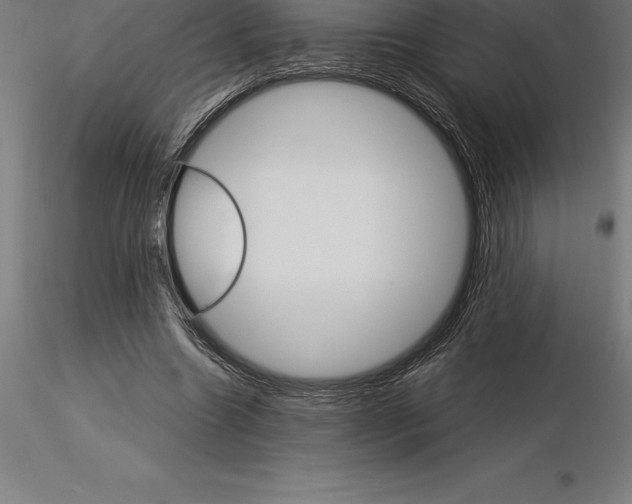 X0000115270538200912111205