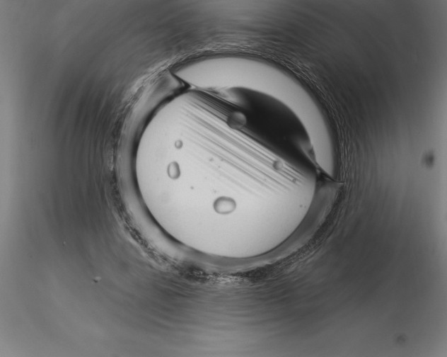 X0000115270539200912111205