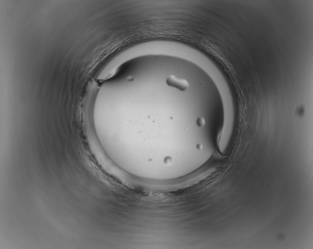 X0000115270541200912111205