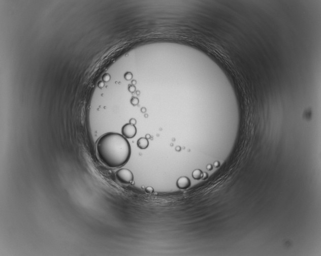 X0000115270542200912111205