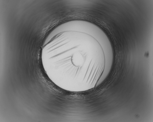 X0000115270545200912111205