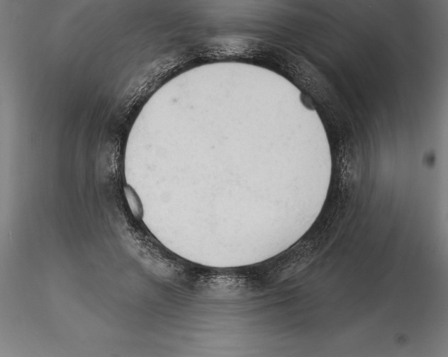 X0000115270546200912111205