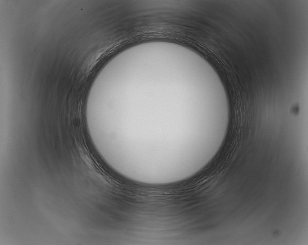 X0000115270547200912111205