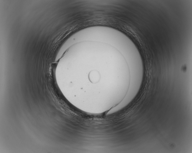 X0000115270549200912111205