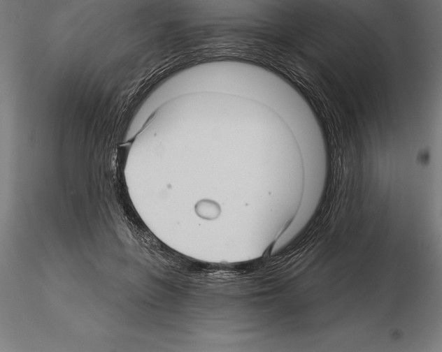 X0000115270551200912111205