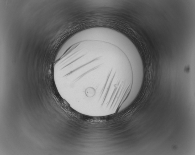 X0000115270553200912111205