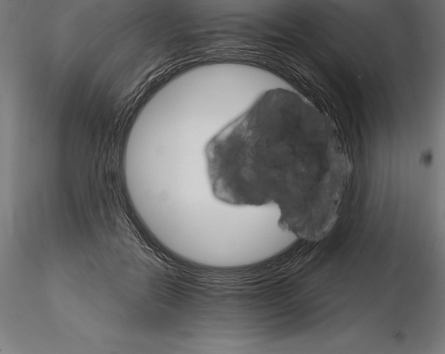 X0000115270554200912111205