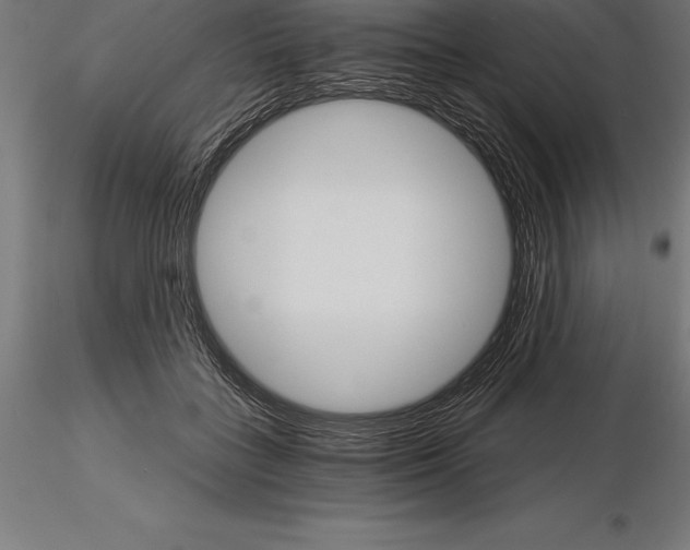 X0000115270555200912111205